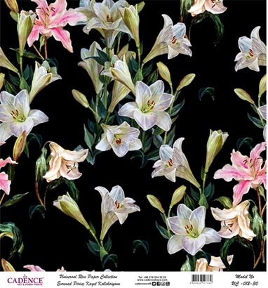 Cadence Evrensel Pirinç Dekopaj  - UC012 ( Siyah Zemin )