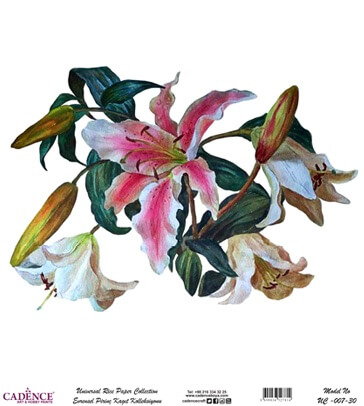 Cadence Evrensel Pirinç Dekopaj  - UC007