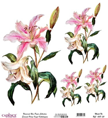 Cadence Evrensel Pirinç Dekopaj  - UC008