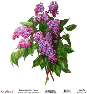 Cadence Evrensel Pirinç Dekopaj  - UC013