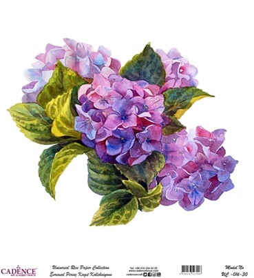 Cadence Evrensel Pirinç Dekopaj  - UC016