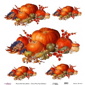 Cadence Evrensel Pirinç Dekopaj  - UC0174