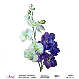 Cadence Evrensel Pirinç Dekopaj  - UC022