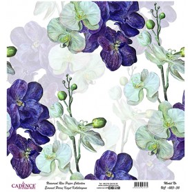 Cadence Evrensel Pirinç Dekopaj  - UC023