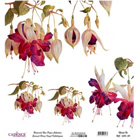 Cadence Evrensel Pirinç Dekopaj  - UC030