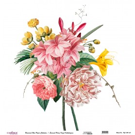 Cadence Evrensel Pirinç Dekopaj  - UC040