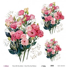 Cadence Evrensel Pirinç Dekopaj  - UC043