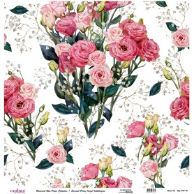 Cadence Evrensel Pirinç Dekopaj  - UC044