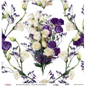 Cadence Evrensel Pirinç Dekopaj  - UC046