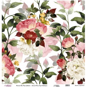 Cadence Evrensel Pirinç Dekopaj  - UC047