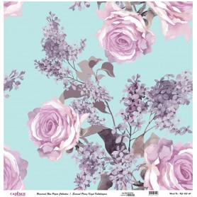 Cadence Evrensel Pirinç Dekopaj  - UC053