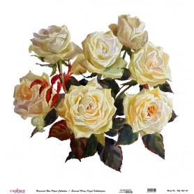 Cadence Evrensel Pirinç Dekopaj - UC063