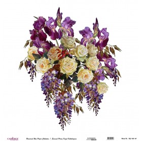 Cadence Evrensel Pirinç Dekopaj  - UC065