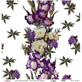 Cadence Evrensel Pirinç Dekopaj  - UC066