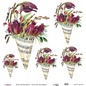 Cadence Evrensel Pirinç Dekopaj  - UC073