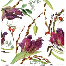 Cadence Evrensel Pirinç Dekopaj  - UC074