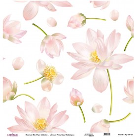 Cadence Evrensel Pirinç Dekopaj  - UC080