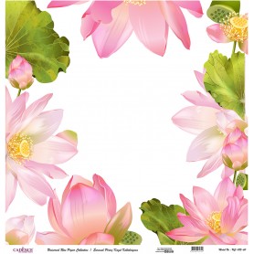 Cadence Evrensel Pirinç Dekopaj  - UC085