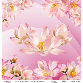 Cadence Evrensel Pirinç Dekopaj  - UC086