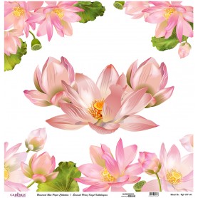 Cadence Evrensel Pirinç Dekopaj  - UC087