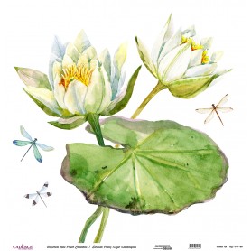 Cadence Evrensel Pirinç Dekopaj  - UC091