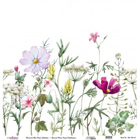 Cadence Evrensel Pirinç Dekopaj  - UC092