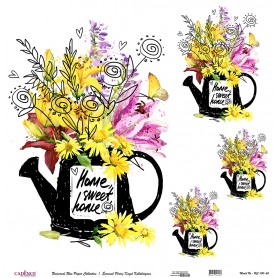 Cadence Evrensel Pirinç Dekopaj  - UC100