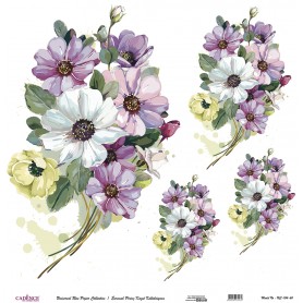 Cadence Evrensel Pirinç Dekopaj  - UC104