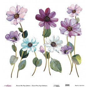 Cadence Evrensel Pirinç Dekopaj  - UC105