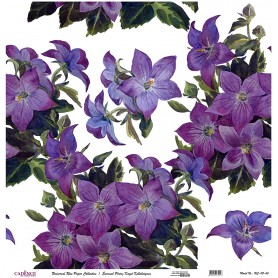 Cadence Evrensel Pirinç Dekopaj  - UC112