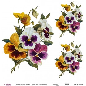 Cadence Evrensel Pirinç Dekopaj  - UC113