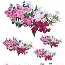 Cadence Evrensel Pirinç Dekopaj  - UC115