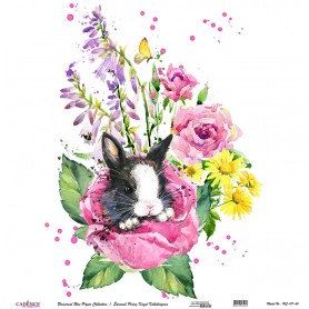 Cadence Evrensel Pirinç Dekopaj  - UC117