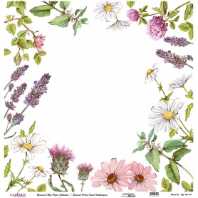 Cadence Evrensel Pirinç Dekopaj  - UC120