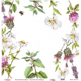 Cadence Evrensel Pirinç Dekopaj  - UC121