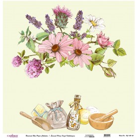 Cadence Evrensel Pirinç Dekopaj  - UC122