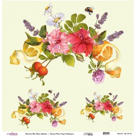 Cadence Evrensel Pirinç Dekopaj  - UC127