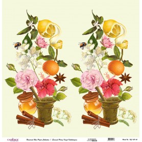 Cadence Evrensel Pirinç Dekopaj  - UC128