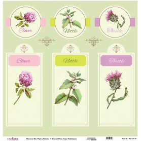 Cadence Evrensel Pirinç Dekopaj  - UC131