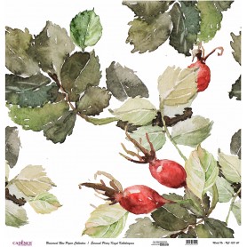 Cadence Evrensel Pirinç Dekopaj  - UC133