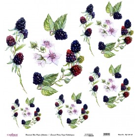 Cadence Evrensel Pirinç Dekopaj  - UC134