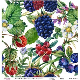 Cadence Evrensel Pirinç Dekopaj  - UC137