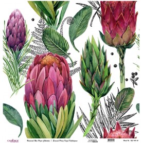 Cadence Evrensel Pirinç Dekopaj  - UC142