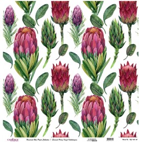 Cadence Evrensel Pirinç Dekopaj  - UC143