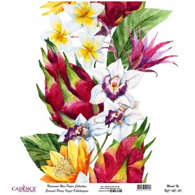 Cadence Evrensel Pirinç Dekopaj  - UC145