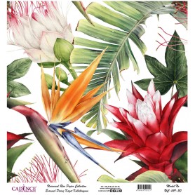 Cadence Evrensel Pirinç Dekopaj  - UC149