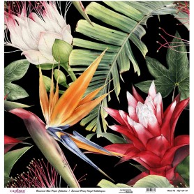 Cadence Evrensel Pirinç Dekopaj  - UC150 (siyah zemin)