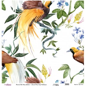 Cadence Evrensel Pirinç Dekopaj  - UC151