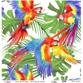 Cadence Evrensel Pirinç Dekopaj  - UC155