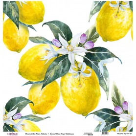 Cadence Evrensel Pirinç Dekopaj  - UC167